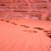 It is aptly termed a sand desert and is the second largest hot desert in the world, after the Sahara